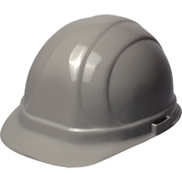 ωII™安全帽,棘轮悬挂、灰色SAX835 | TENAQUIP