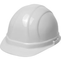 ERBωII安全帽,棘轮悬挂,白色SAX828 | TENAQUIP