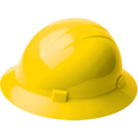 ERB自由<一口>®< /一口>完整的边缘2型安全帽,棘轮悬挂,黄色SDL924 | TENAQUIP