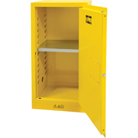 易燃的存储柜,16加。,1门,23“W x 44”H x 18”D SDN643 | TENAQUIP
