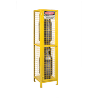 气瓶柜,2个气缸容量,17”W x 17 D x 69 H,黄色SEB838 | TENAQUIP