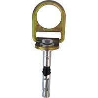 箴™混凝土d形环锚螺栓、混凝土/ d形环,永久使用SEB928 | TENAQUIP