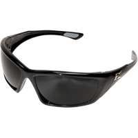 罗布森安全眼镜、烟/灰色/吸烟镜头,隔汽层涂料,CSA Z94.3 / MCEPS GL-PD 10 - 12 SEG816 | TENAQUIP