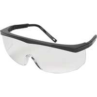 Z100调频系列安全眼镜,清晰的镜头,反抓痕涂料、CSA Z94.3 SEH642 | TENAQUIP