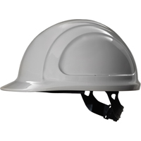 北方区™安全帽,Pinlock悬挂、灰色SFM507 | TENAQUIP