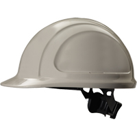 北方区™安全帽,棘轮悬挂、灰色SFM524 | TENAQUIP