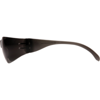 入侵者安全眼镜,灰色/吸烟镜头,反抓痕涂料、ANSI Z87 + / CSA Z94.3 SFQ550 | TENAQUIP