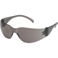 入侵者安全眼镜,灰色/吸烟镜头,反抓痕涂料、ANSI Z87 + / CSA Z94.3 SFQ550 | TENAQUIP