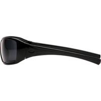 歌利亚安全眼镜,灰色/吸烟镜头,反抓痕涂料、ANSI Z87 + / CSA Z94.3 SFQ555 | TENAQUIP