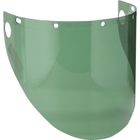 形成了面罩,聚碳酸酯,绿色色调SGV653 | TENAQUIP