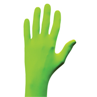 N-Dex <一口>®< /一口>手套,X-Small,腈,5-mil,无粉,绿色SGC133 | TENAQUIP