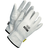 热Cut-Resistant驾驶手套、小、谷物山羊皮的手掌,新雪丽™内衬SGE855 | TENAQUIP