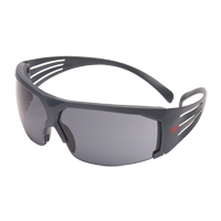 SecureFit™600系列安全眼镜,灰色镜片,防雾涂层、ANSI Z87 + / CSA Z94.3 SGF090 | TENAQUIP