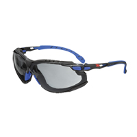 单独的安全眼镜设备,吸烟镜头,防雾涂层、CSA Z94.3 SGF130 | TENAQUIP
