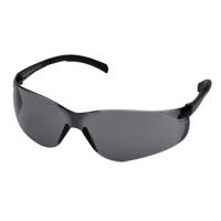 Atoka安全眼镜,灰色/吸烟镜头,ANSI Z87 + / CSA Z94.3 SGI164 | TENAQUIP