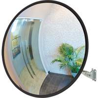 凸镜与伸缩臂,室内/室外,12英寸直径SGI547 | TENAQUIP