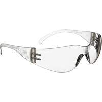 与启示安全眼镜、清晰镜头,防雾涂层、CSA Z94.3 SGU286 | TENAQUIP