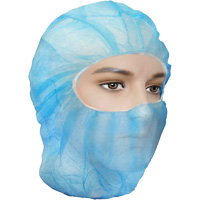 保健™戴面罩、聚丙烯、蓝色SGW397 | TENAQUIP
