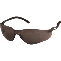 SenTec™安全眼镜、灰色镜头,反抓痕涂料、CSA Z94.3 SGX062 | TENAQUIP