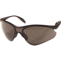 米兰达™安全眼镜、灰色镜头,反抓痕涂料、CSA Z94.3 SGX074 | TENAQUIP