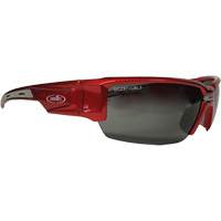 哈特利™安全眼镜、灰色镜头,极化涂料、CSA Z94.3 SGX095 | TENAQUIP