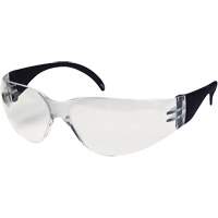 CeeTec™安全眼镜、清晰镜头,防雾涂层/反抓痕,CSA Z94.3 SGX102 | TENAQUIP