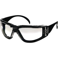 CeeTec™DX安全眼镜,清晰的镜头,防雾涂层/反抓痕,CSA Z94.3 SGX104 | TENAQUIP
