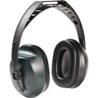 H10耳套,头巾,26岁NRR dB SGX896 | TENAQUIP