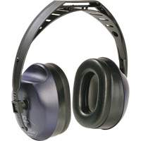 H12耳套,头巾,29日NRR dB SGX898 | TENAQUIP