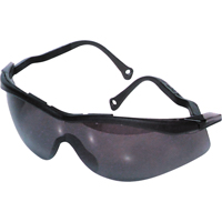 北<一口>®< /一口>边缘™安全眼镜,吸烟镜头,防雾涂层/反抓痕,CSA Z94.3 SH061 | TENAQUIP