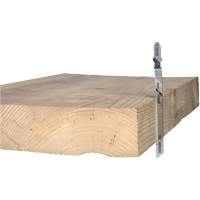 木材切割锯刃,高碳钢,T-Shank 4 L, 10 TPI TCR264 | TENAQUIP