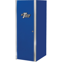 专业工具柜系列、交货4抽屉,24“W x 31 D x 63 - 3/8”H,蓝色TEP598 | TENAQUIP