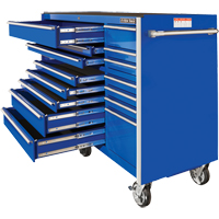 RX系列滚动工具柜,19个抽屉,72 dx 47“25 W x H,蓝色TEQ506 | TENAQUIP