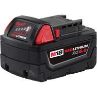 M18™Redlithium™XC5.0扩展容量电池,锂,18 V, 5 TYL255 | TENAQUIP