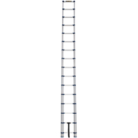 伸缩梯3 - 15.5,铝,250磅。能力,1型VC252 | TENAQUIP