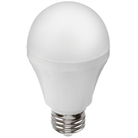 LED灯泡A19 7 W, 490流明,媒介基础XE481 | TENAQUIP