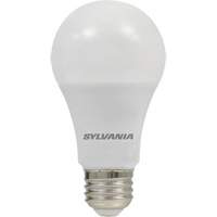 LED灯泡A19 6 W, 450流明,E26媒介基础XI030 | TENAQUIP
