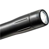 小手电筒,LED, 139流明,塑料的身体,AAA电池,包括XI293 | TENAQUIP